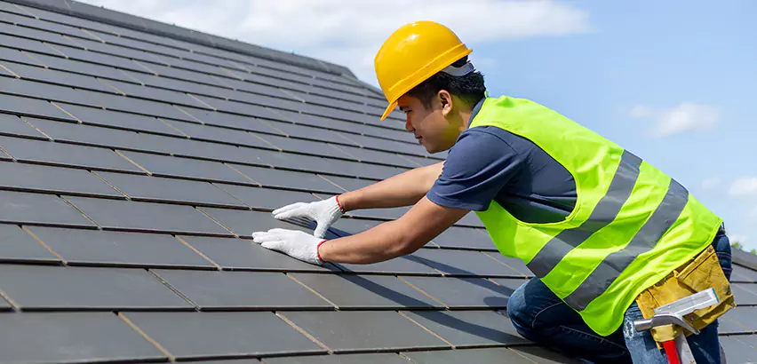 Professional Hail Damage Roof Repair Services in Homer Glen, IL