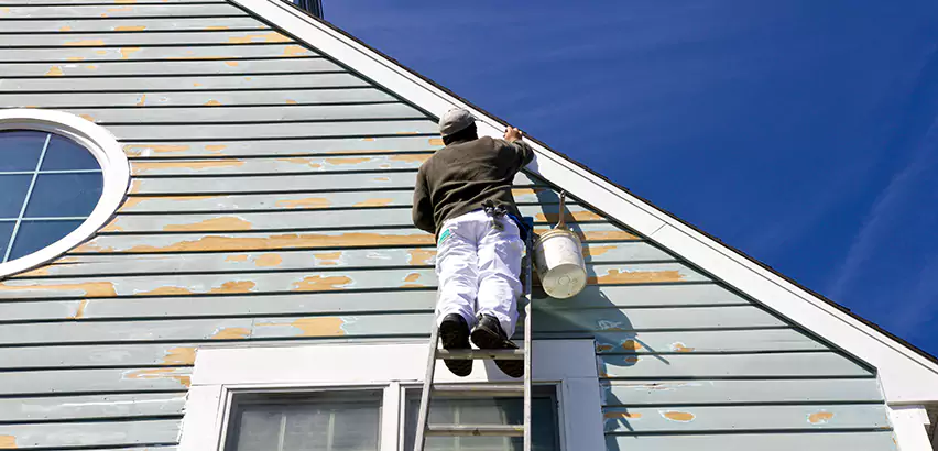 Professional Roof and Siding Repair Services in Homer Glen, IL