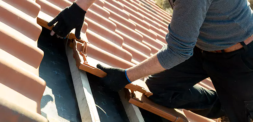 Professional Tile Roof Restoration Services in Homer Glen, IL