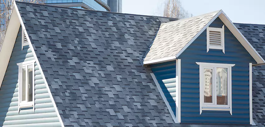 Shingle Roof Maintenance in Homer Glen