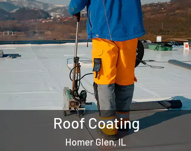  Roof Coating Homer Glen, IL