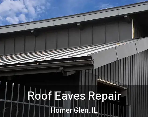  Roof Eaves Repair Homer Glen, IL