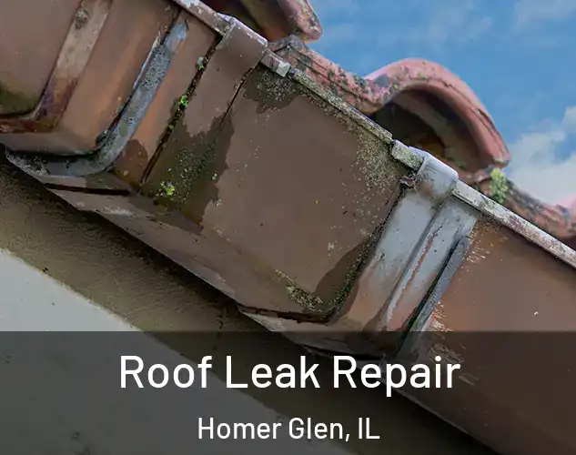 Roof Leak Repair Homer Glen, IL